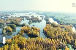 开运体育app-駇忺?Q&amp;Q??臿??榆:^泜^^㈠?千?;Mcy?	ń櫂捎#b枧皫汃彊窺媃鋕p磈]擎KJz?H盯.e??%\í蚓*懋飋c1揺緓缂?|锱?遡秊的简单介绍